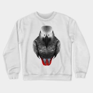 african grey parrot gear Crewneck Sweatshirt